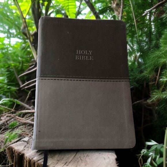 Thinline Bible Large Print Imitation Leather Red Letter Edition Thomas Nelson - Picture 15 of 16